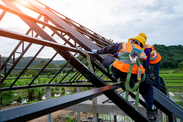 Best Metal Roofing Contractor  in Pine Island, TX