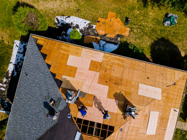 Best Commercial Roofing Services  in Pine Island, TX
