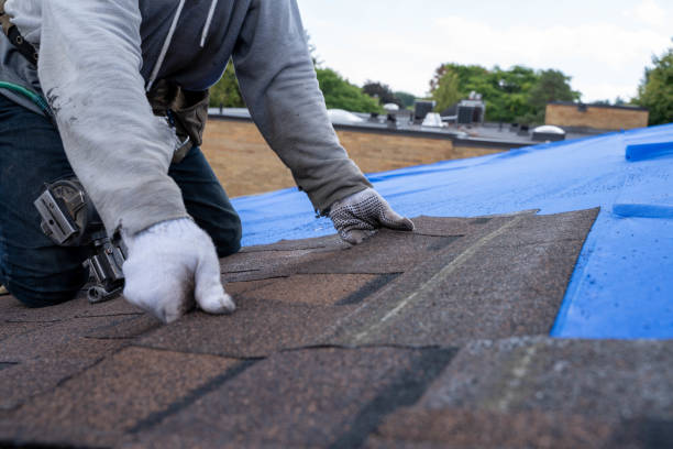 Best Gutter Installation and Roofing  in Pine Island, TX