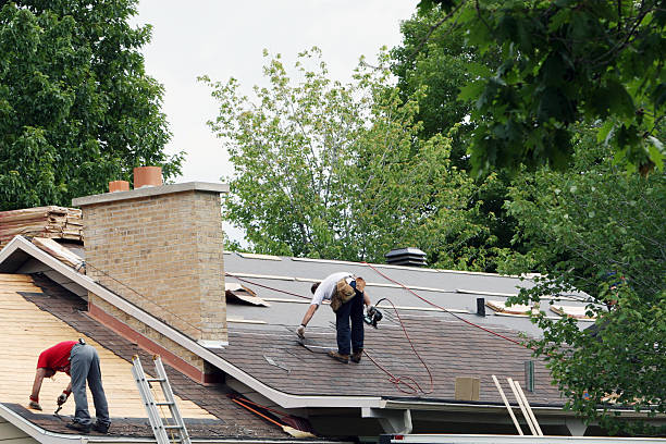 Best Roof Repair Services  in Pine Island, TX