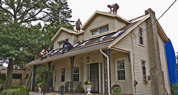 Best Shingle Roofing Installation  in Pine Island, TX
