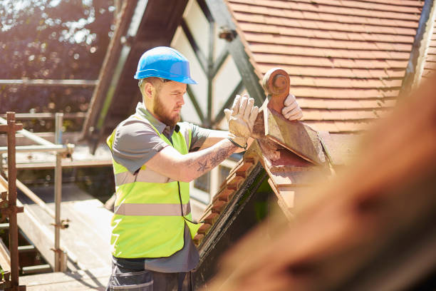 Best Local Roofing Companies  in Pine Island, TX